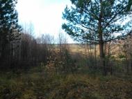 Старикове з panoramio.com
