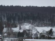 Тростянець з panoramio.com