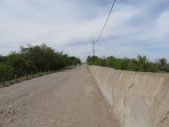 Макорти - Останні фото