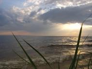 Леськи з panoramio.com