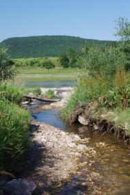 Чернелиця з panoramio.com