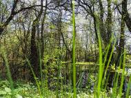 Данилове з panoramio.com