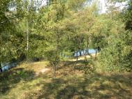 Першотравенськ з panoramio.com