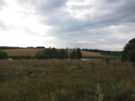 Головеньки з panoramio.com