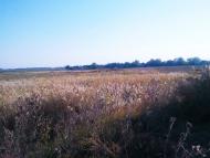 Островського з panoramio.com