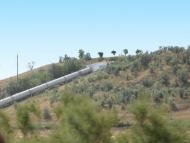 Скворцове з panoramio.com