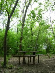 Первомайськ з panoramio.com