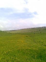 Сподобівка з panoramio.com