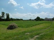 Кураж з panoramio.com