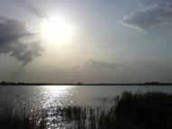 Дроговиж з panoramio.com