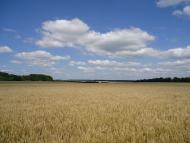 Кузьмин з panoramio.com