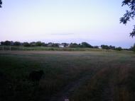 В'язова - Останні фото