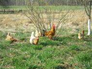 Охотівка з panoramio.com