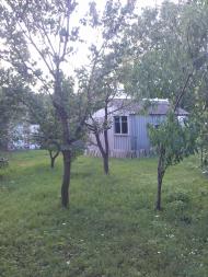 Оленівка з panoramio.com