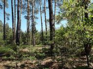 Вельбівка з panoramio.com