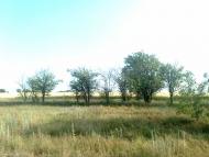 Широке з panoramio.com