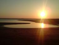 Жайворонки з panoramio.com