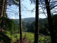 Кузьминець з panoramio.com