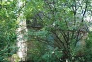 Синельникове з panoramio.com - Синельникове