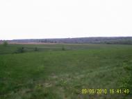 Паланочка з panoramio.com