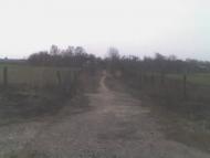 Вересневе з panoramio.com