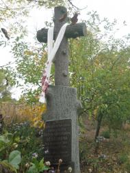 Вербка з panoramio.com