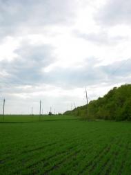 Первомайськ з panoramio.com