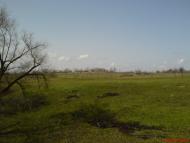 Садовий з panoramio.com