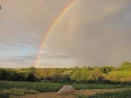 Грабовське з panoramio.com