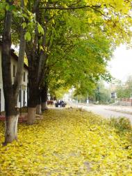 Зеленогірське з panoramio.com