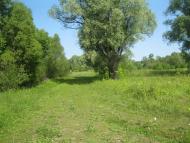 Дем'янівка з panoramio.com