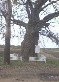 Бугрин з panoramio.com