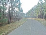 Шалигине з panoramio.com