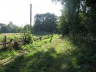 Дітинець з panoramio.com