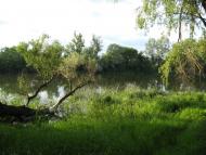 Жовте з panoramio.com