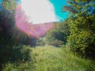 Грушківка з panoramio.com