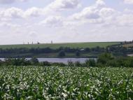 Новопетрівка з panoramio.com