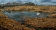 Булгаківка з panoramio.com
