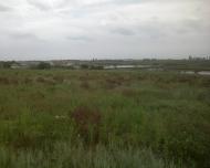 Куйбишеве з panoramio.com