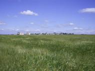 Новопетрівка з panoramio.com