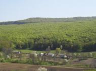 Горошівці з panoramio.com