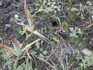 Мостове у лютому 2014