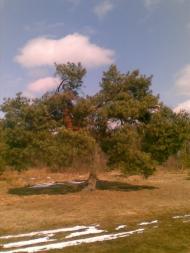 Волиця з panoramio.com