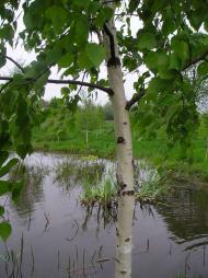 Бугрин. Фотоекскурсія