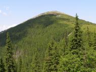 Кузьминець з panoramio.com