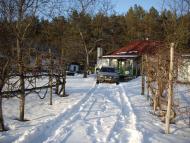 Шабельники з panoramio.com