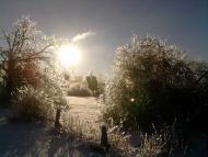 Волиця з panoramio.com