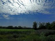 Чапаєвка з panoramio.com