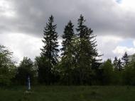 Рихли з panoramio.com