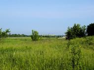 Чапаєвка з panoramio.com